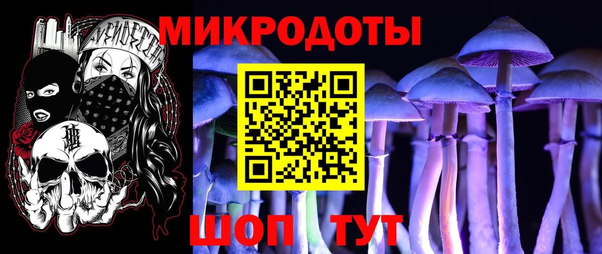 Галлюциногенные грибы GOLDEN TEACHER  Вход с VPN  Черкесск  Галлюциногенные грибы MAGIC MUSHROOMS 